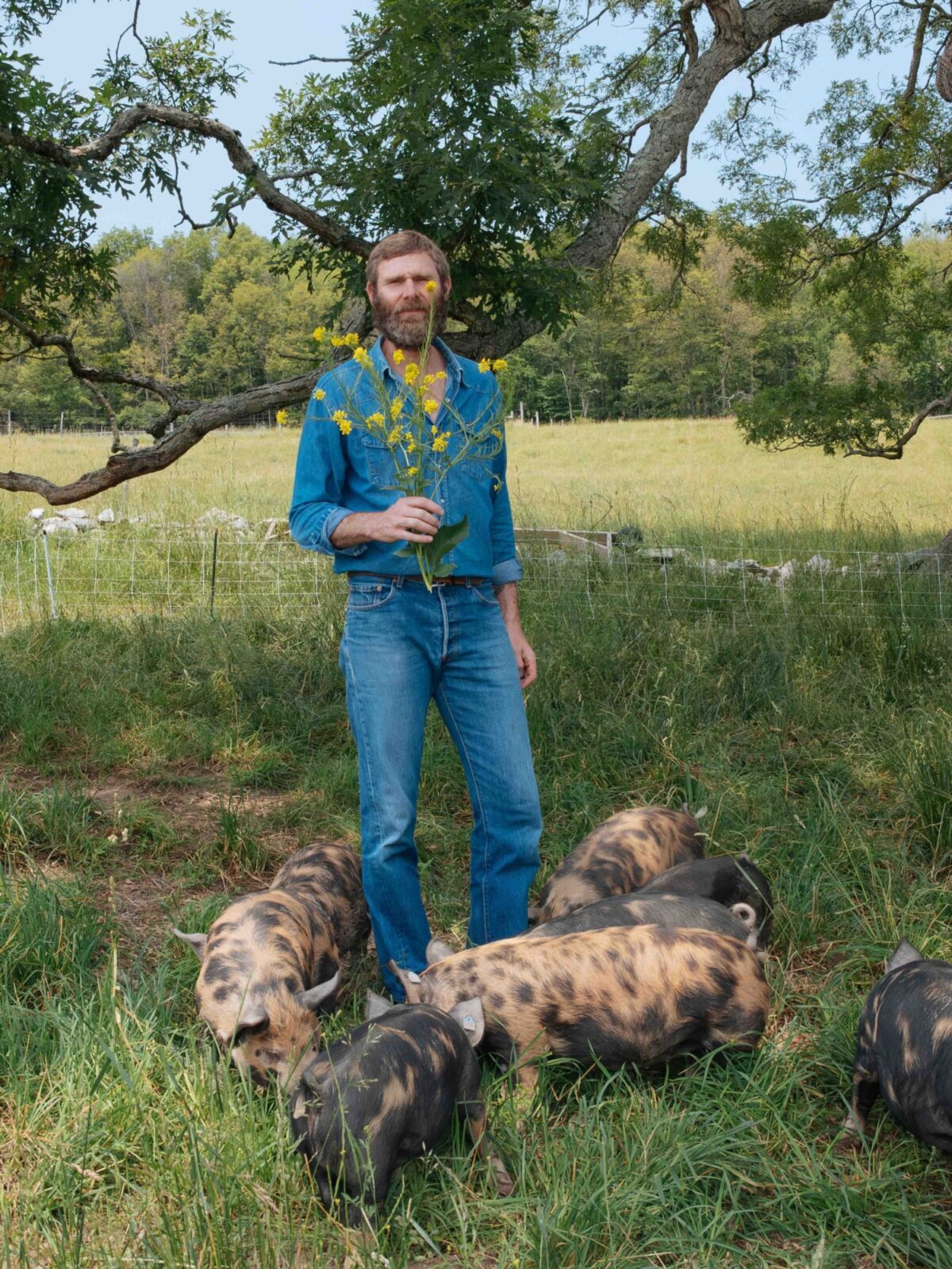 AJMI2450 Enhanced NR